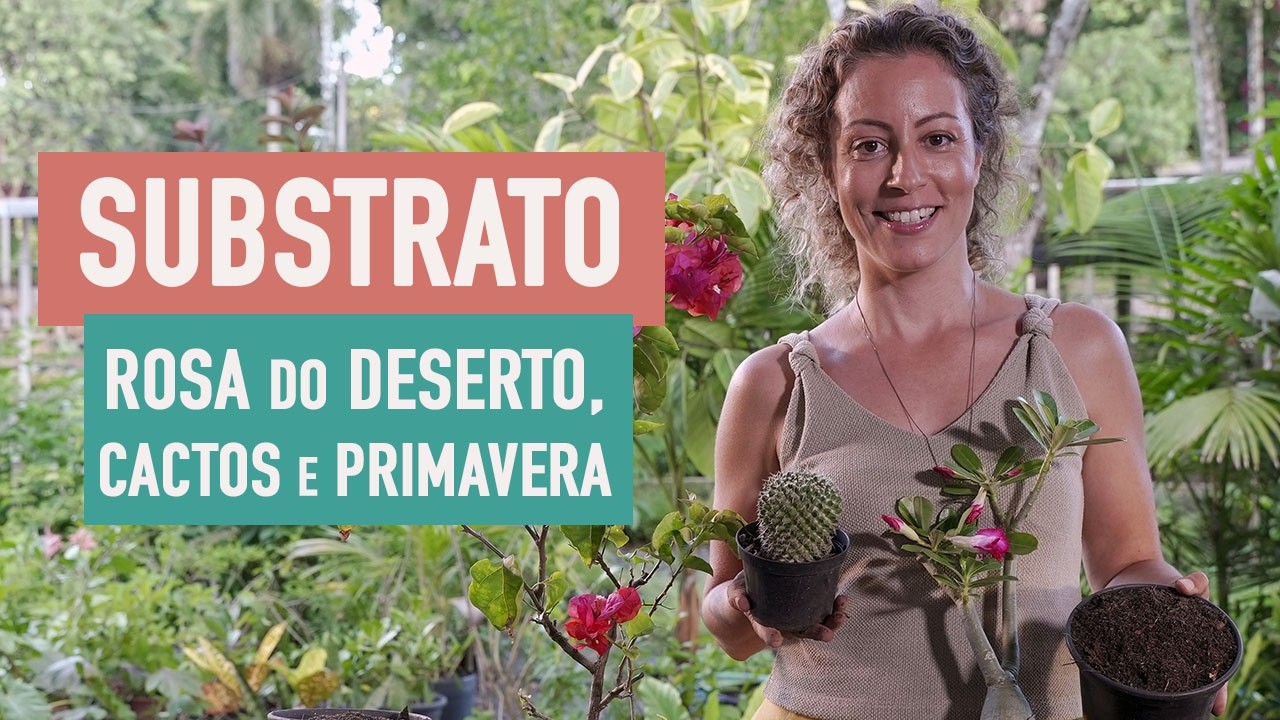 Como preparar o SUBSTRATO PERFEITO pra CACTOS, ROSA do DESERTO e PRIMAVERA