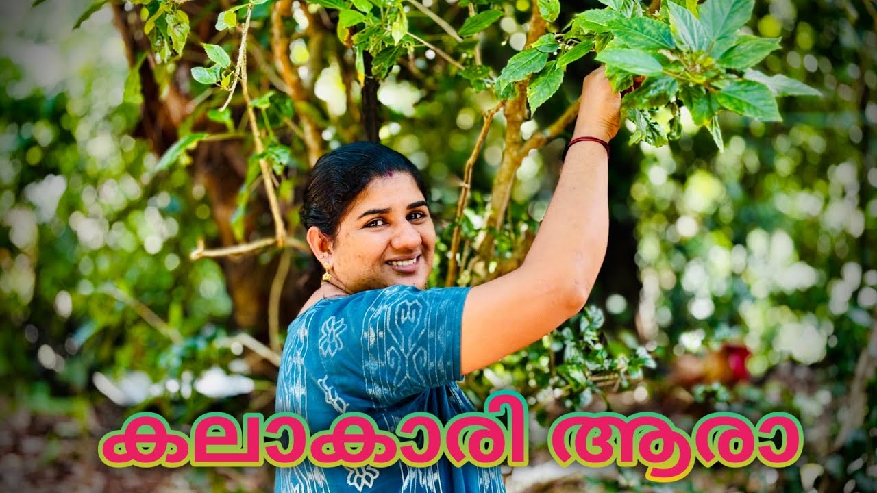 എന്തിനാ മരുമക്കളെ കൊണ്ടുവരുന്നത്🥰 വയ്യാത്തപ്പോൾ നോക്കാനല്ലേ🥰😘