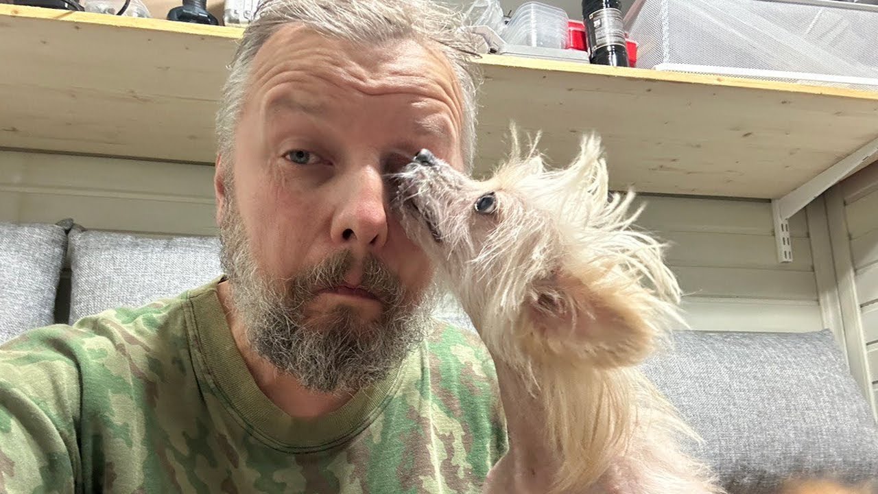 Как выживают бедные приюты в Челябинске? / Расцелованная Айка отправляется домой?!