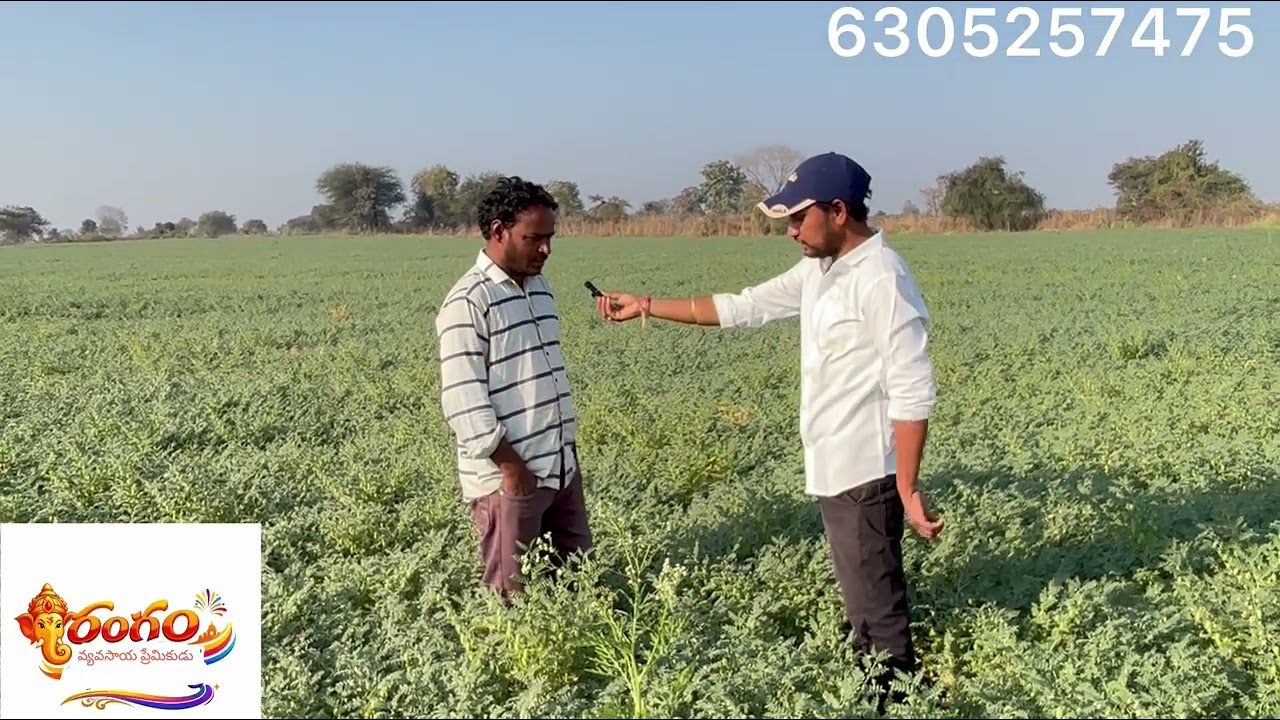 # mana Adilabad ￼ mana farming ￼ agriculture #￼ All new channels ￼ mana agriculture