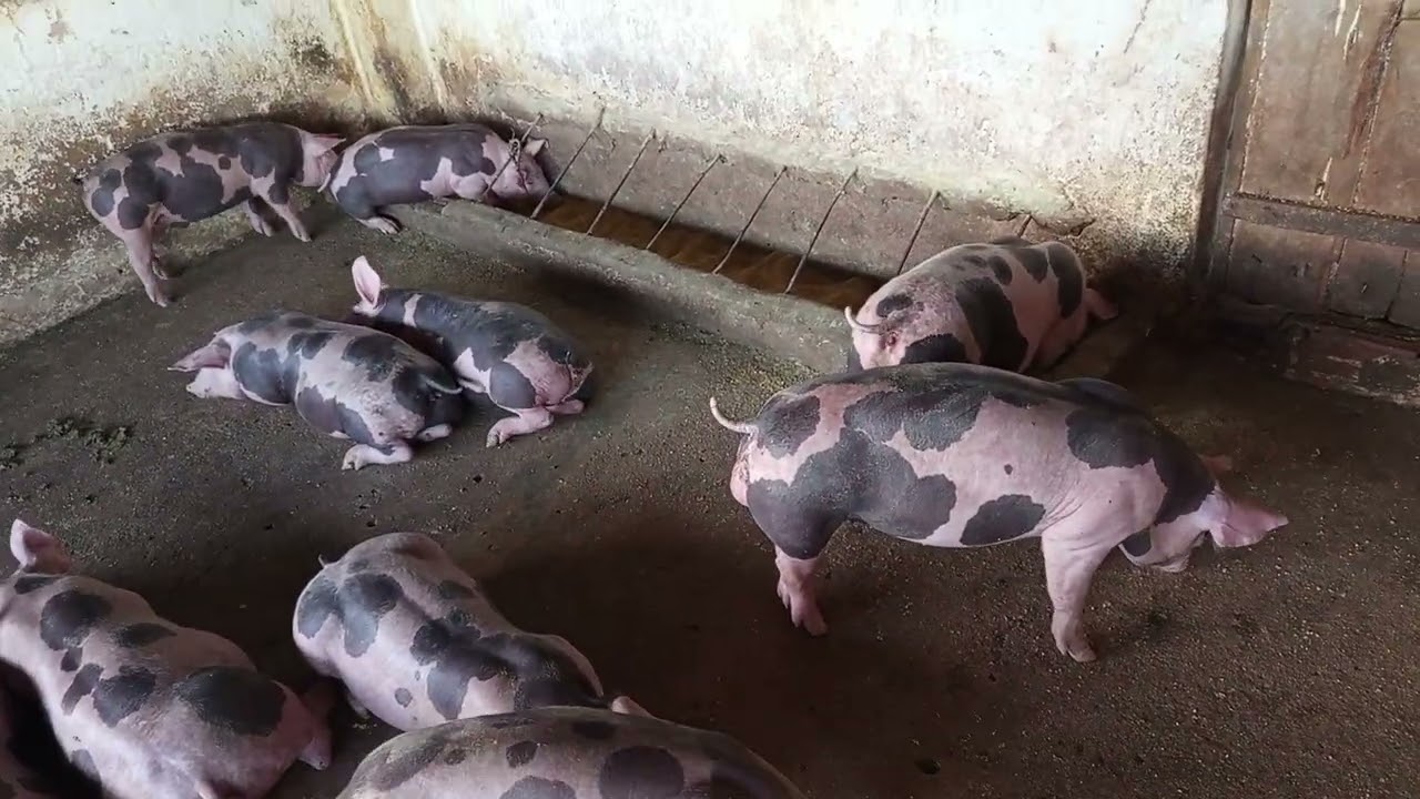 Quem criar não pode parar 
