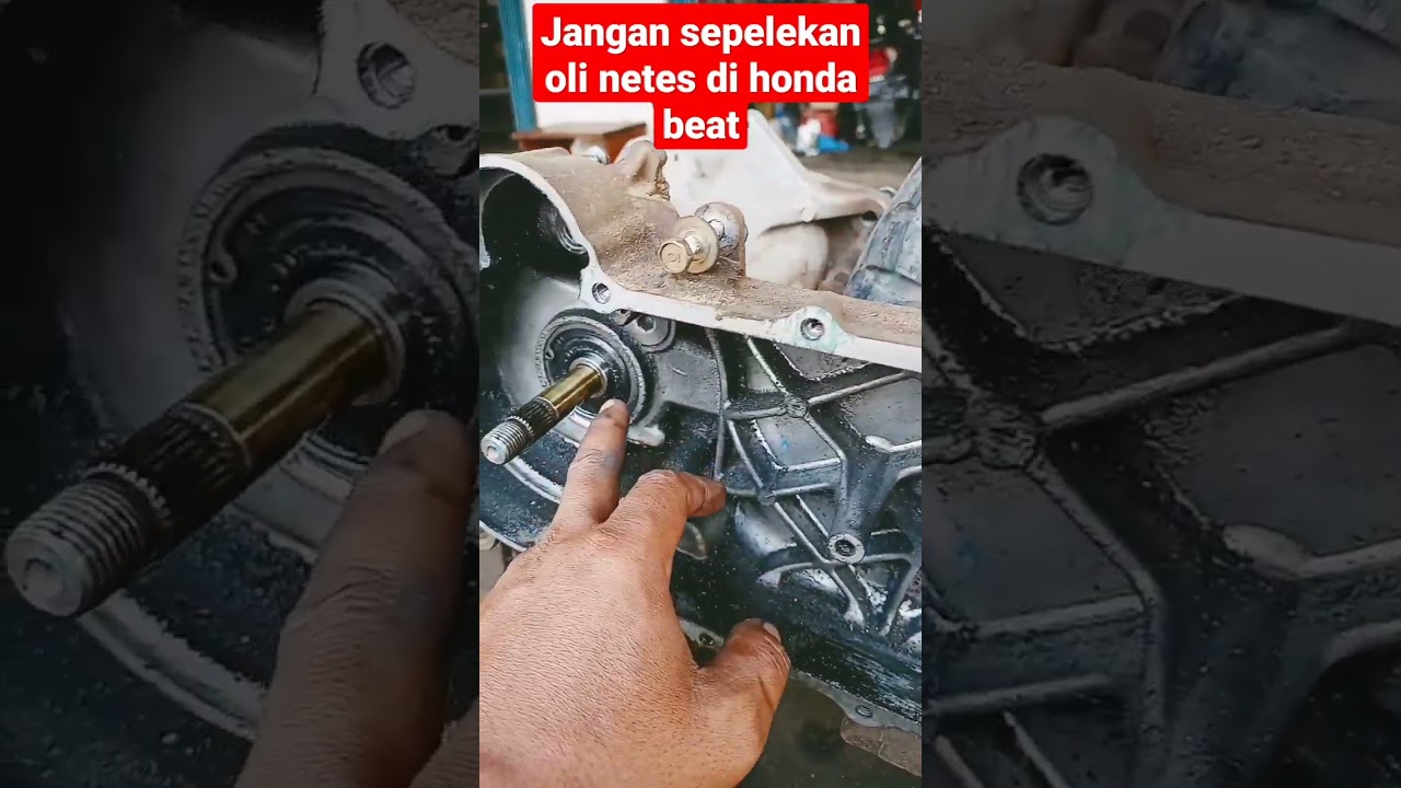 oli netes Honda beat