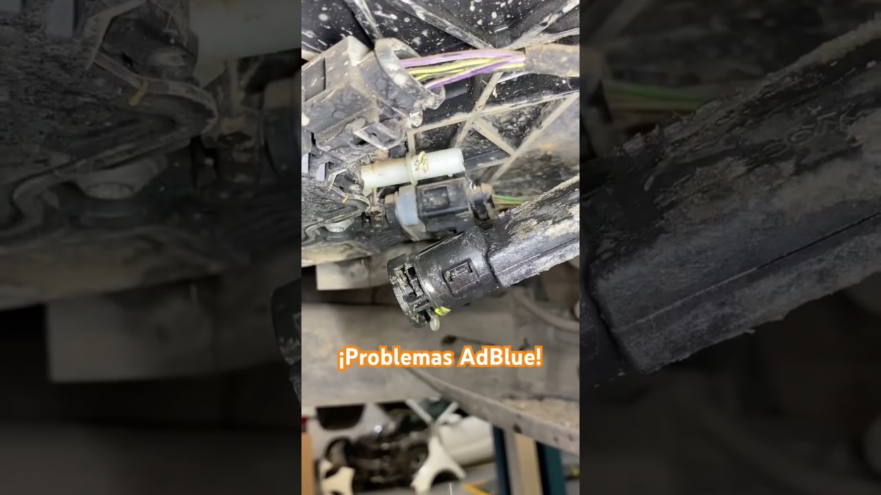 &iexcl;Problemas con el AdBlue en un Seat Ateca 1.6tdi! Fallo P218F! #taller #mecanica #adblue #seat #fyp