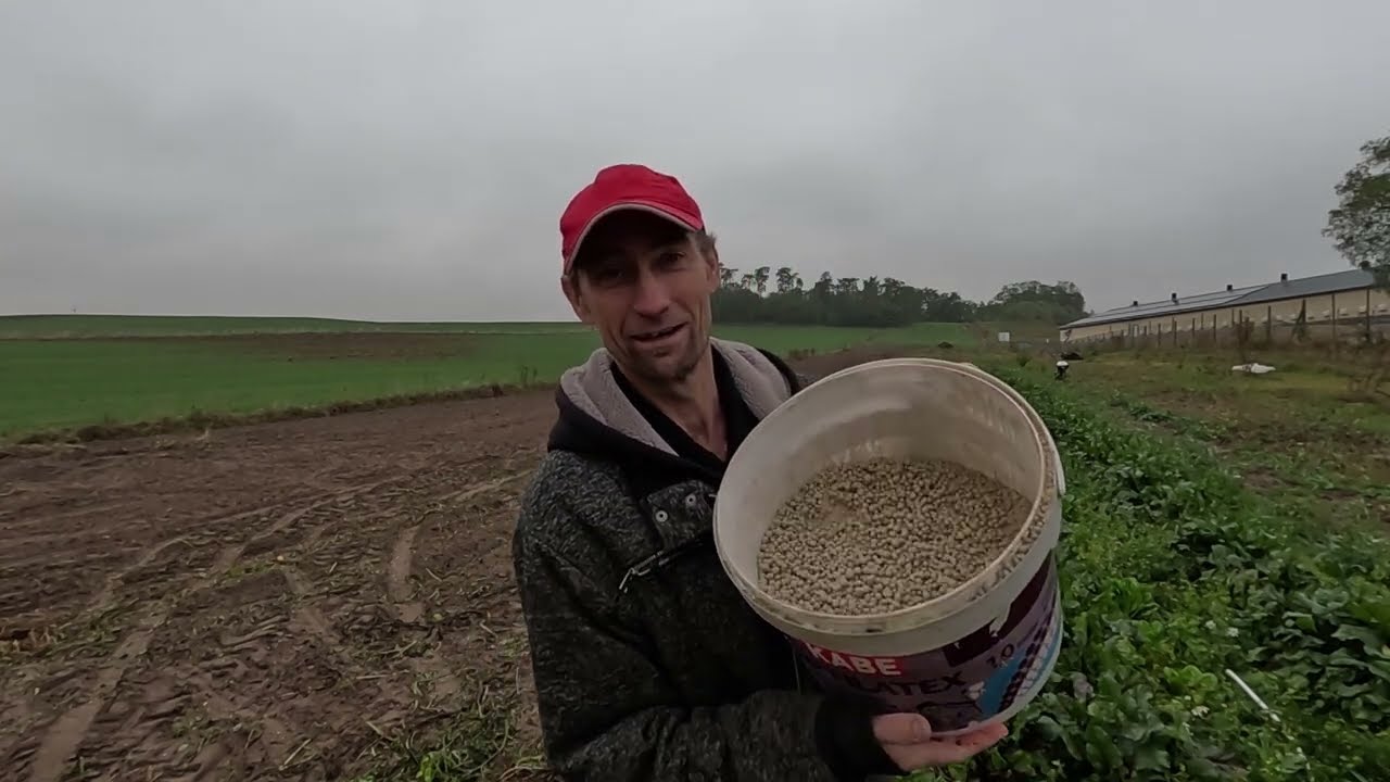 CZY MOŻNA DAĆ WAPNO Z OBORNIKIEM