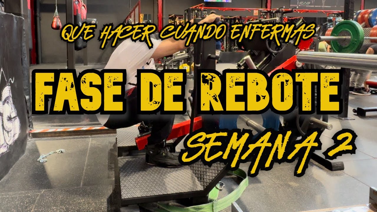 FASE DE REBOTE - SEMANA 2 - ¿QUÉ HACER CUANDO ENFERMAS? 🤒