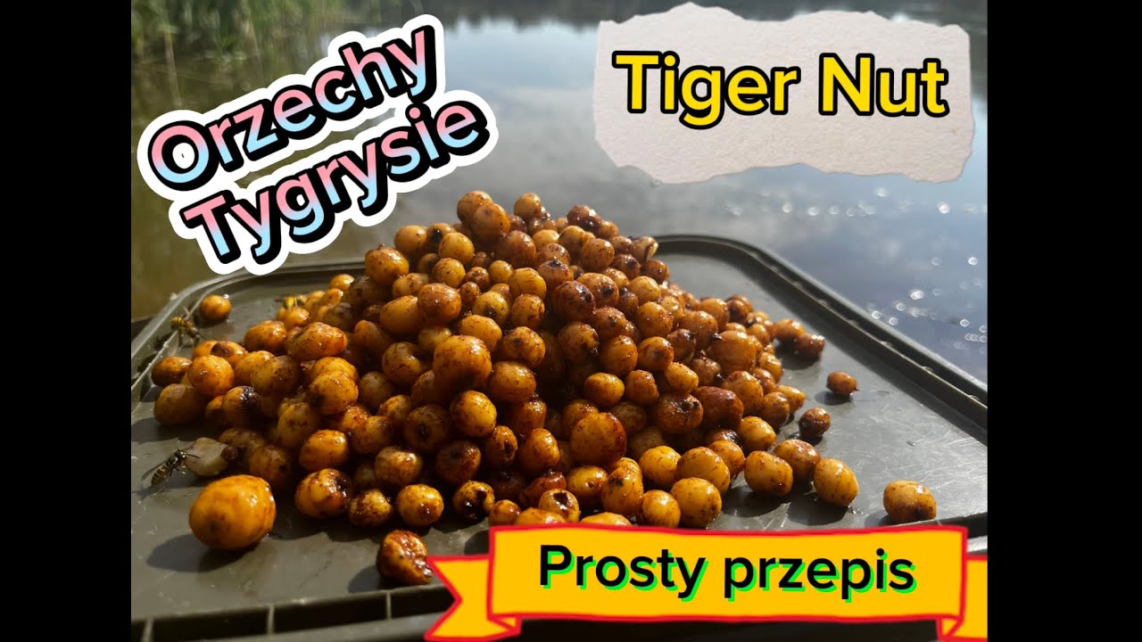 ORZECHY TYGRYSIE🥜Jak przygotować tą skuteczną zanętę na karpia i amura??? Zapraszam na film