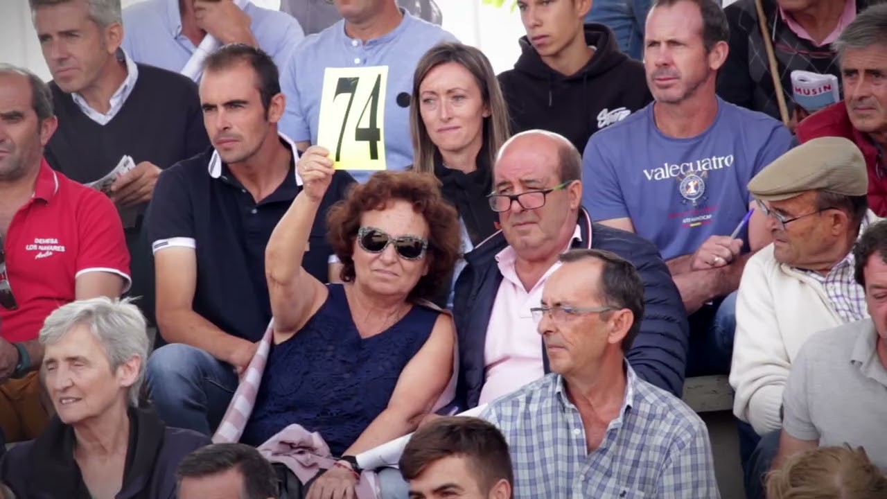 Subasta Machos - Salamanca 2022