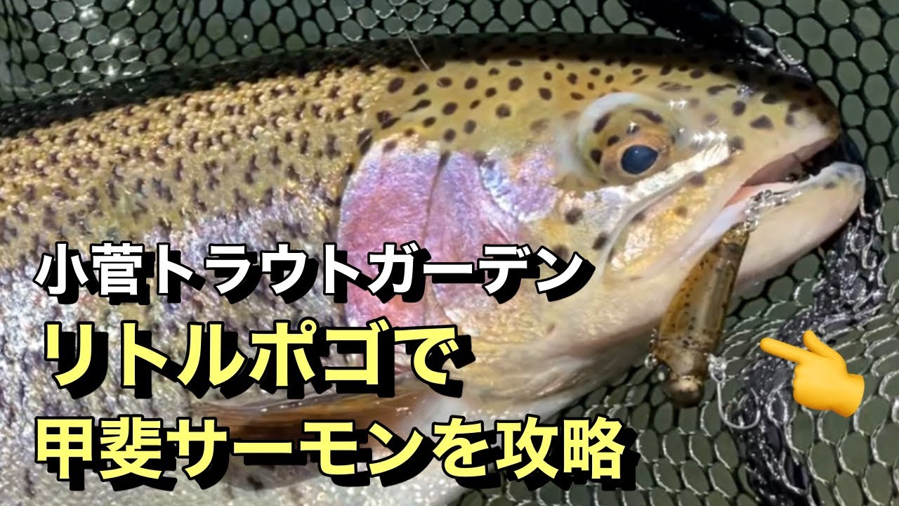 【甲斐サーモン】大型魚を攻略！リアクションが効く⁉︎