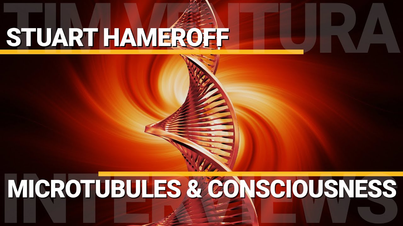 Microtubules & Quantum Consciousness | Stuart Hameroff