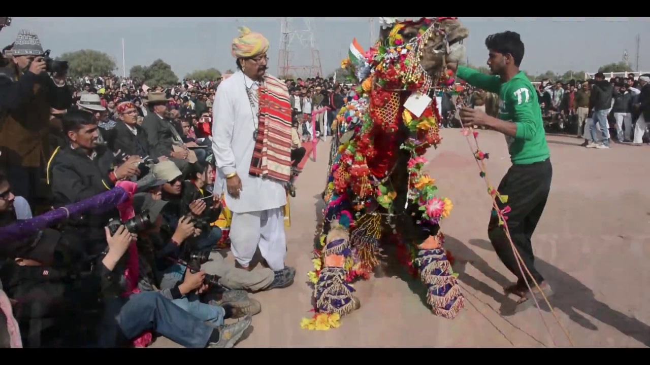 Symphony Of Colors And Rhythm | Bikaner Camel festival | 2017