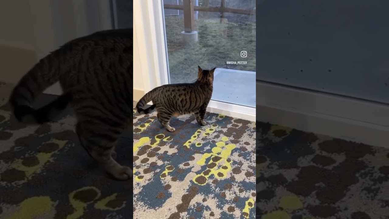 #homedecor
