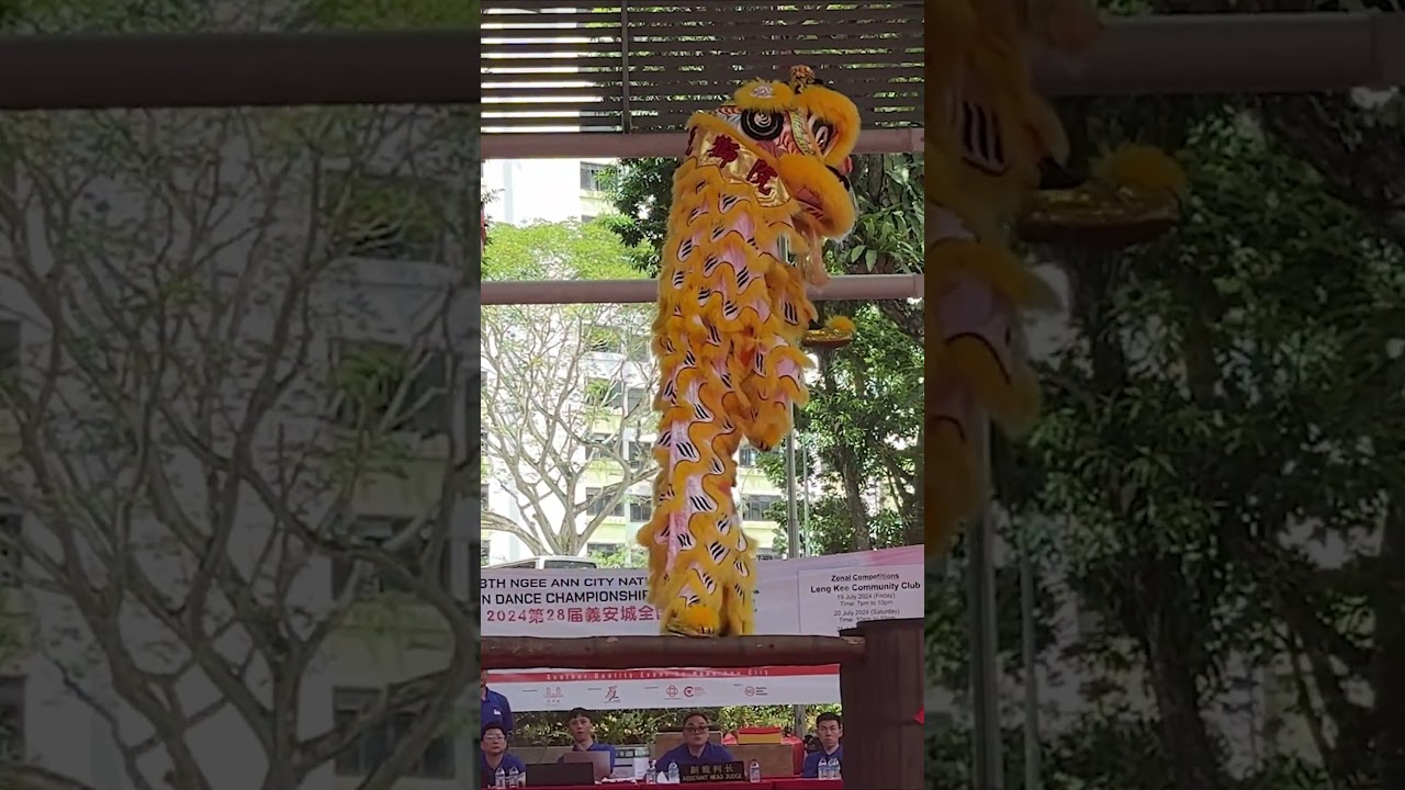 Lion Dance | 鼎豐龍獅院 Ding Feng Events & Entertainment Centre  at Leng Kee Community Club - 21 Jul 2024