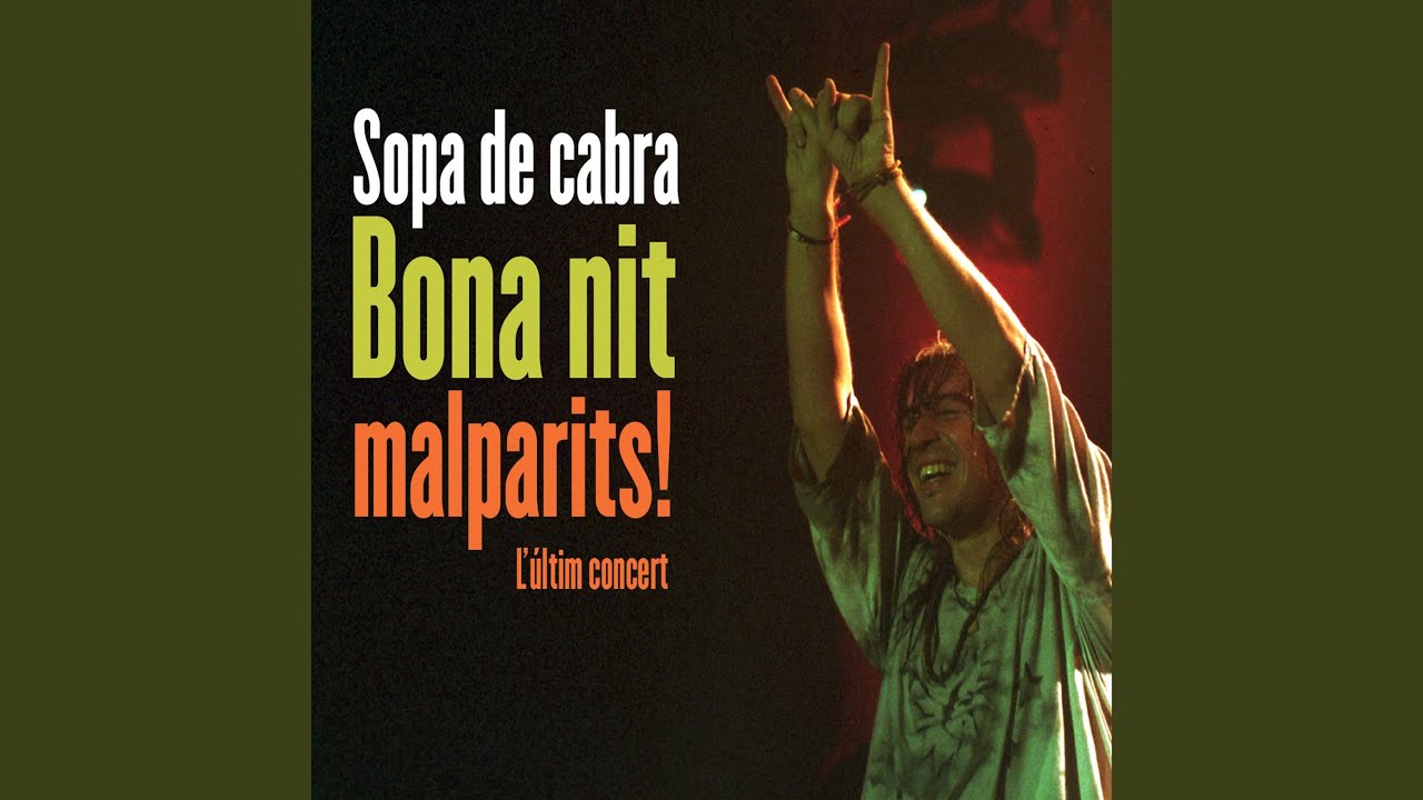 El Boig De La Ciutat