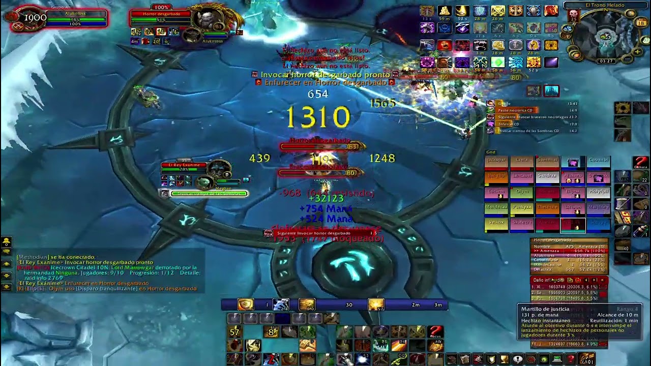 WOW Naerzone pala tanke icc 25h (Horrores) gs 5.9