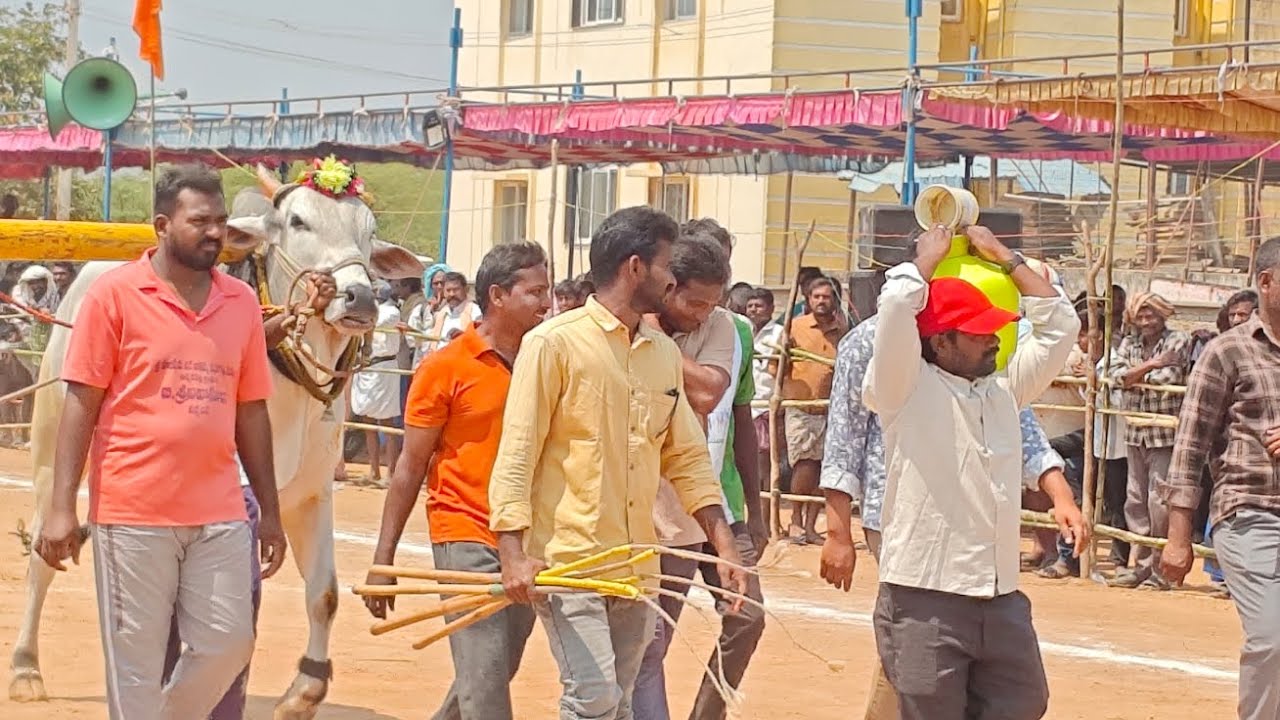 శ్రీ అహోబిల లక్ష్మీ నరసింహ స్వామి న్యూ క్యటగిరి విభాగానికి 7 వ జత