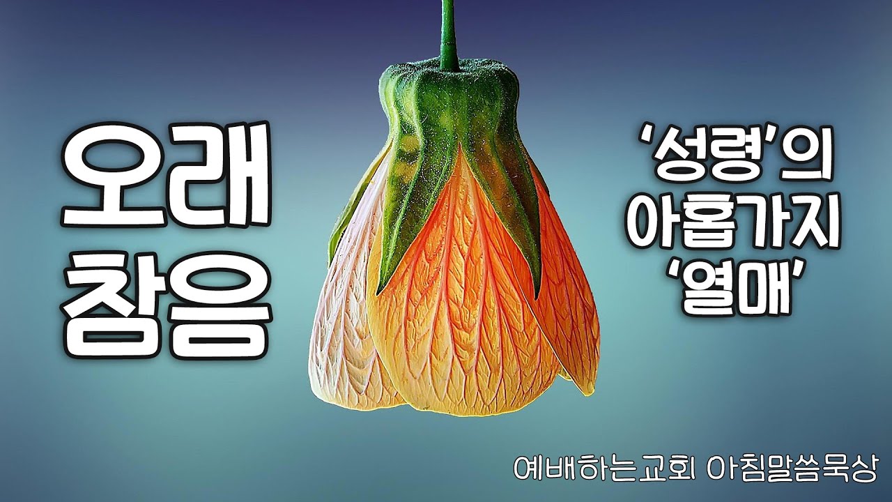 예배하는교회 / 아침말씀묵상 / 성령의 아홉가지 열매 / 오래참음 2 / 오래참음은 주님의 마음입니다 / 서동일 목사로젝트