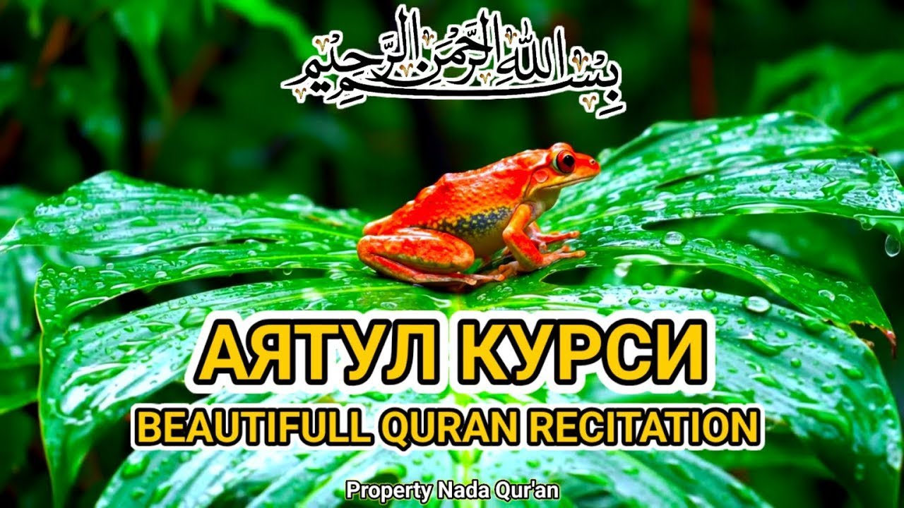Аят Курси перед сном — мир душе, спокойствие сердцу и защита Аллаха
