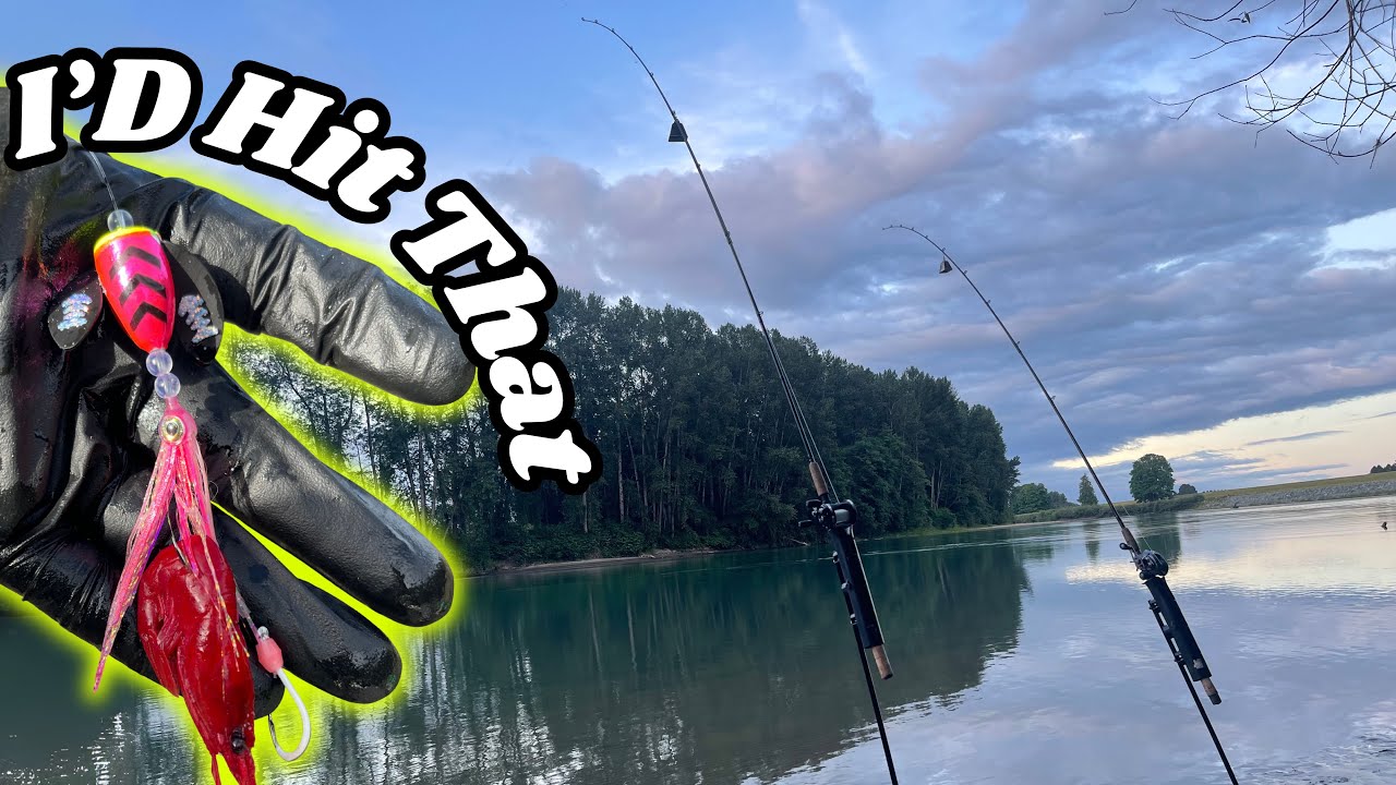 Plunking For Sockeye | Skagit River July 2025