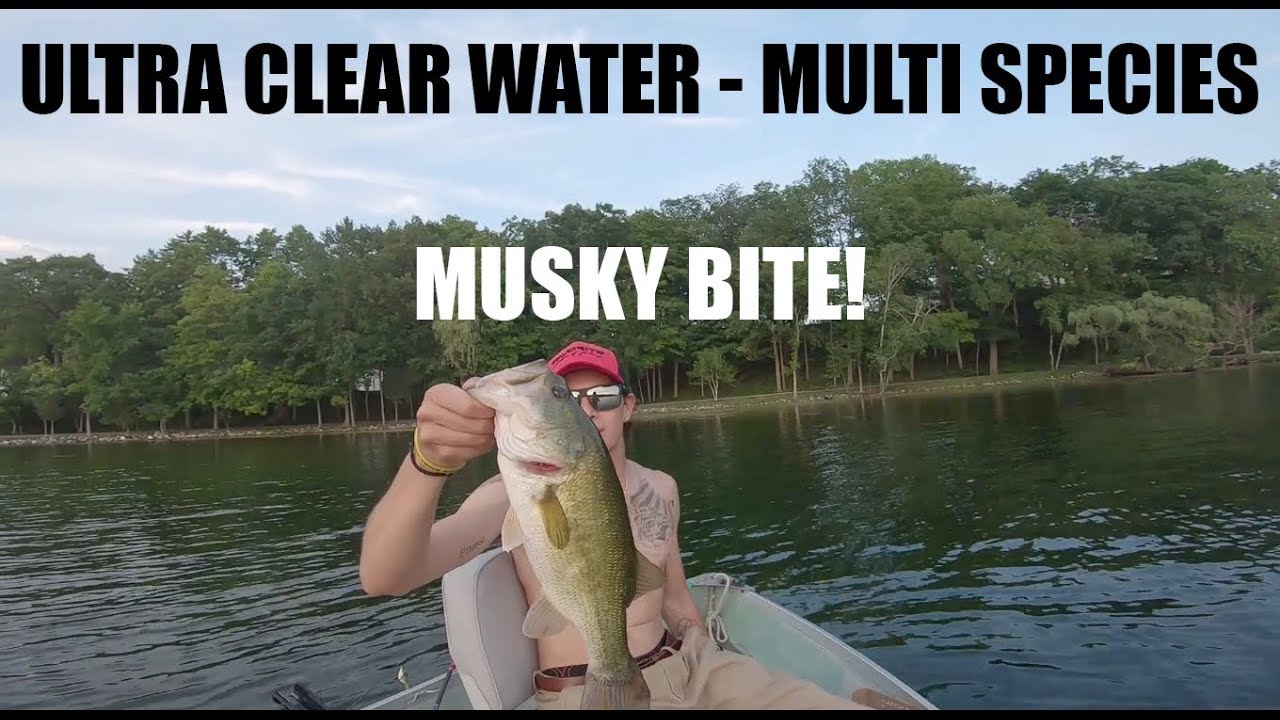 Fishing NEW Lakes For BIG Fish (BIG BITE) Pine Lake, WI