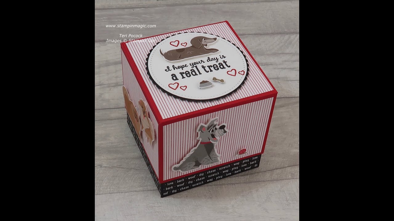 Pampered Pets - Gift Box - (3½