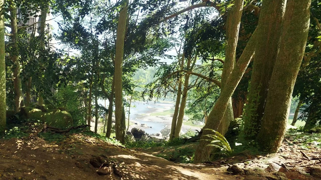 10 HR Forest Ambience with Gentle Sounds | Sunny Valley & Birdsong in Stunning 4K