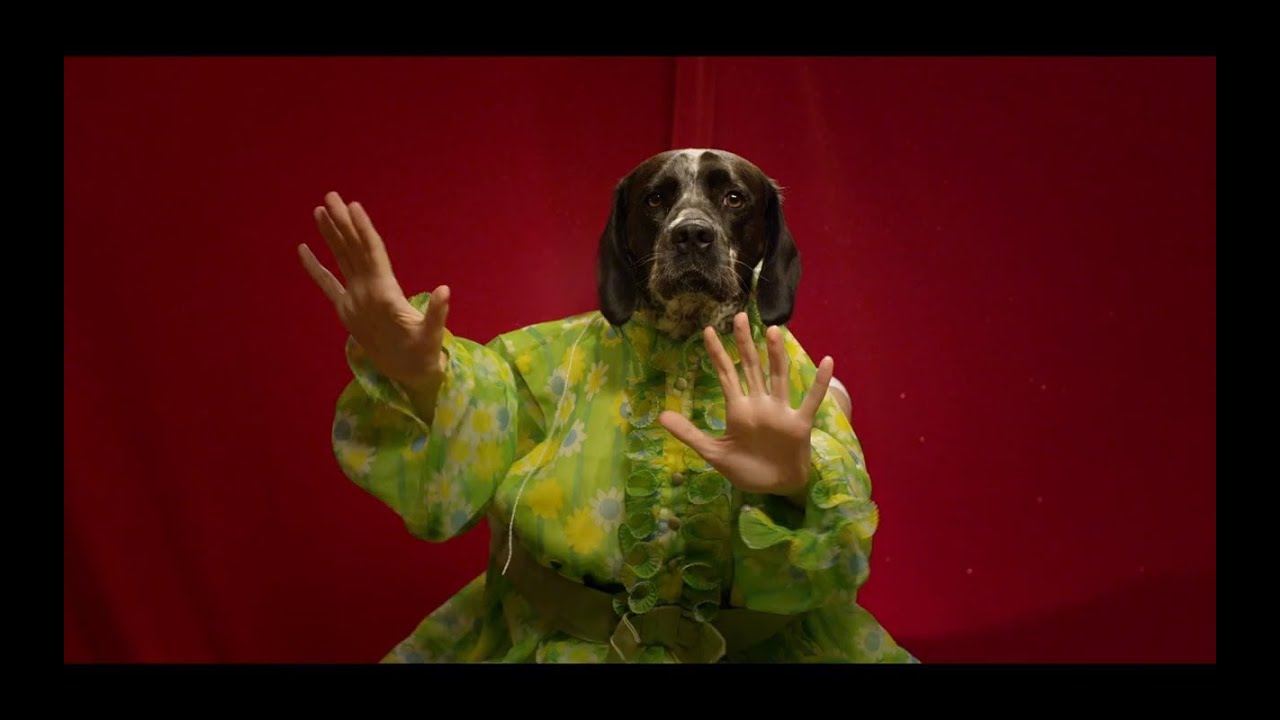 Boomerang Official Music Video - Lucy Schwartz