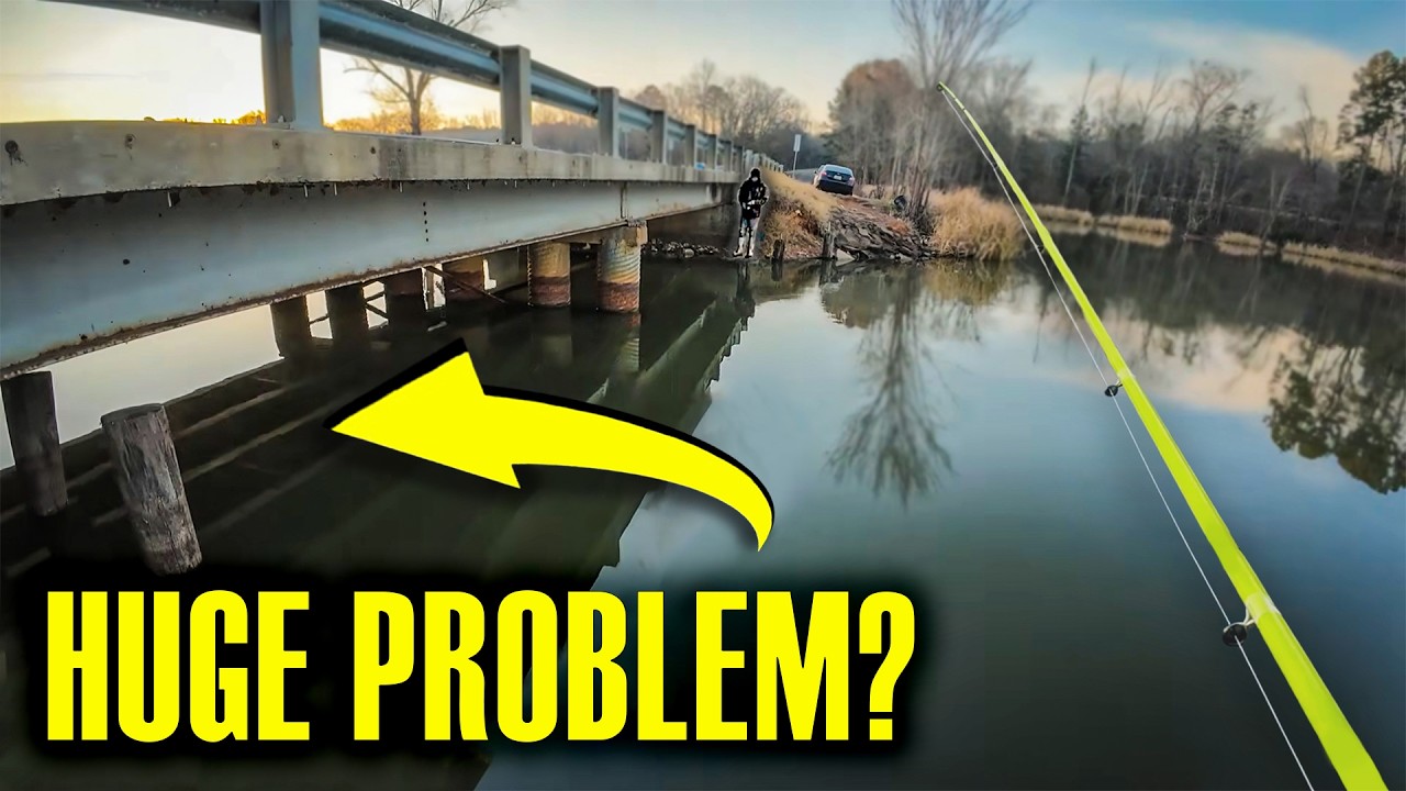 PRE-SPAWN CRAPPIE FISHING FROM THE BANK‼️ WE HAVE A PROBLEM‼️