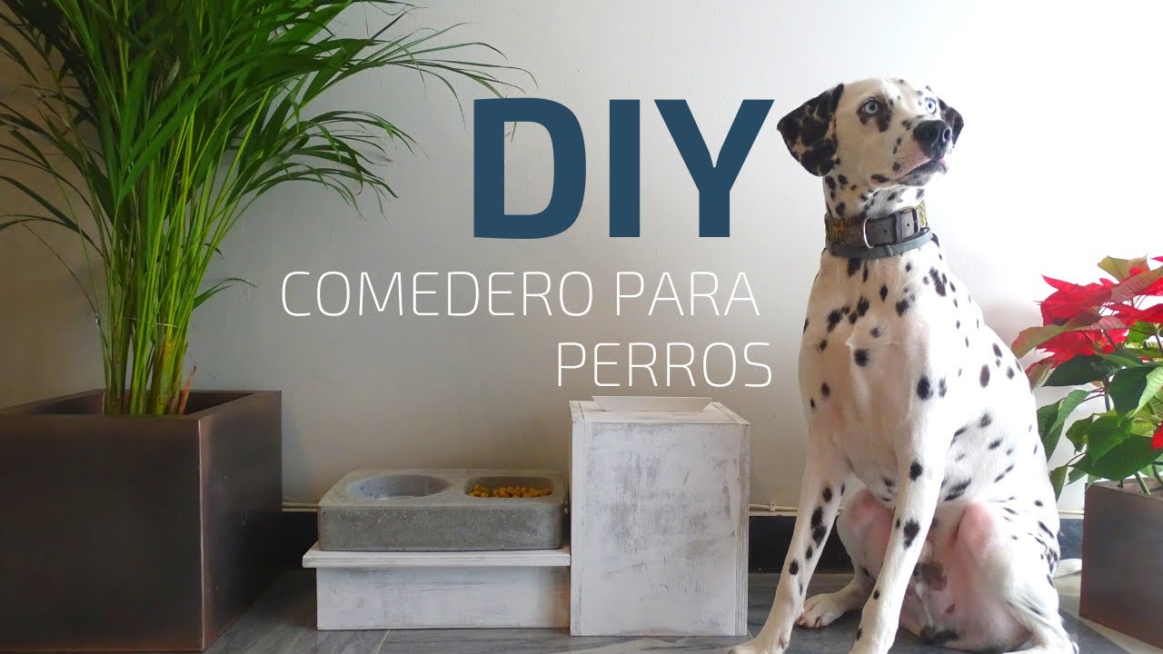 Como hacer un comedero para perros con  SOLO 3 HERRAMIENTAS - DIY dog feeder