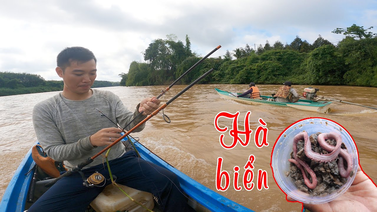 AE Hàn Tam Đẳng đi săn hàng, lần đầu thử câu mồi hà biển ✅