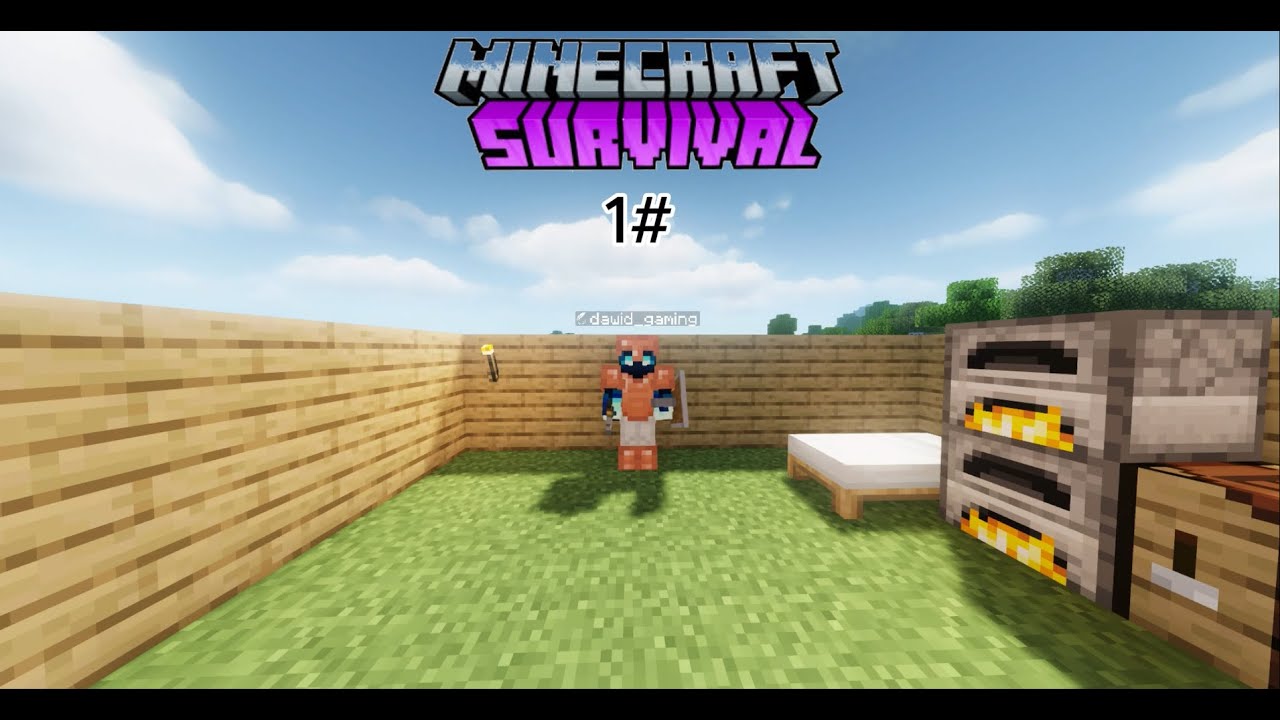 Minecraft survival #1 Początek serii i dobry seed!!!