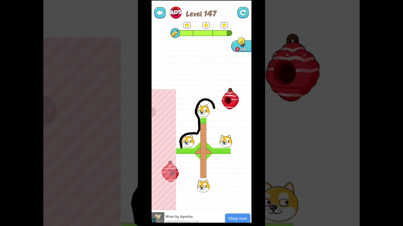 Save the Pets game Level 147  