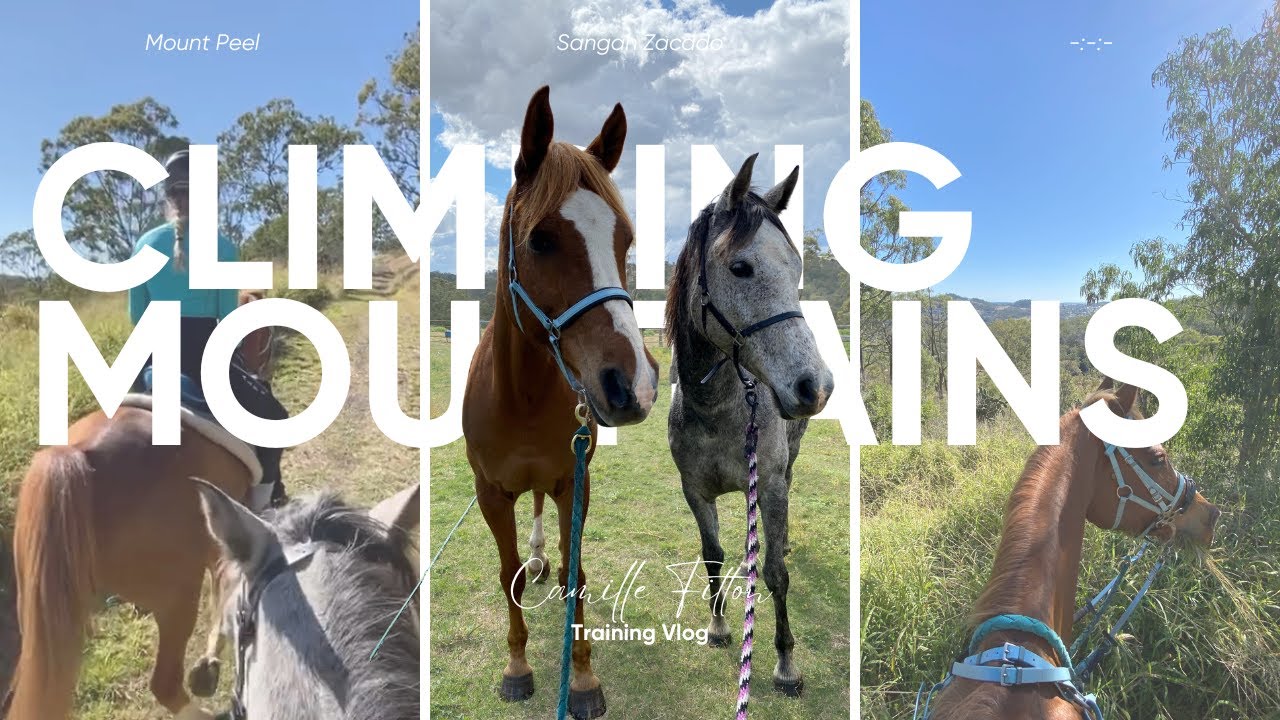 EXPLORING TRAILS WITH MY HORSES | Mount Peel