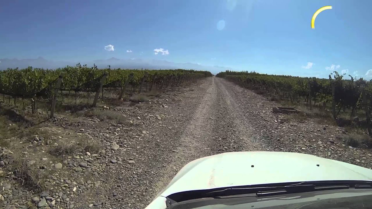 BODEGA LA AZUL 1