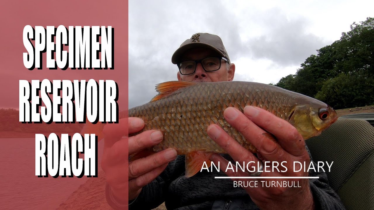 An Anglers Diary with A Moment in Time Channel - Chapter 168 - Fishing For Specimen Roach