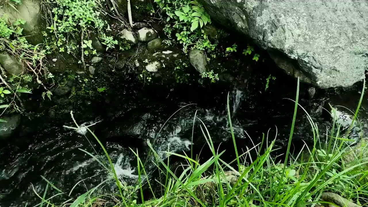 Calma Profunda para Dormir 😴 Relaxing River Sounds | Río Fluyendo Suave para Insomnio y Tinnitus