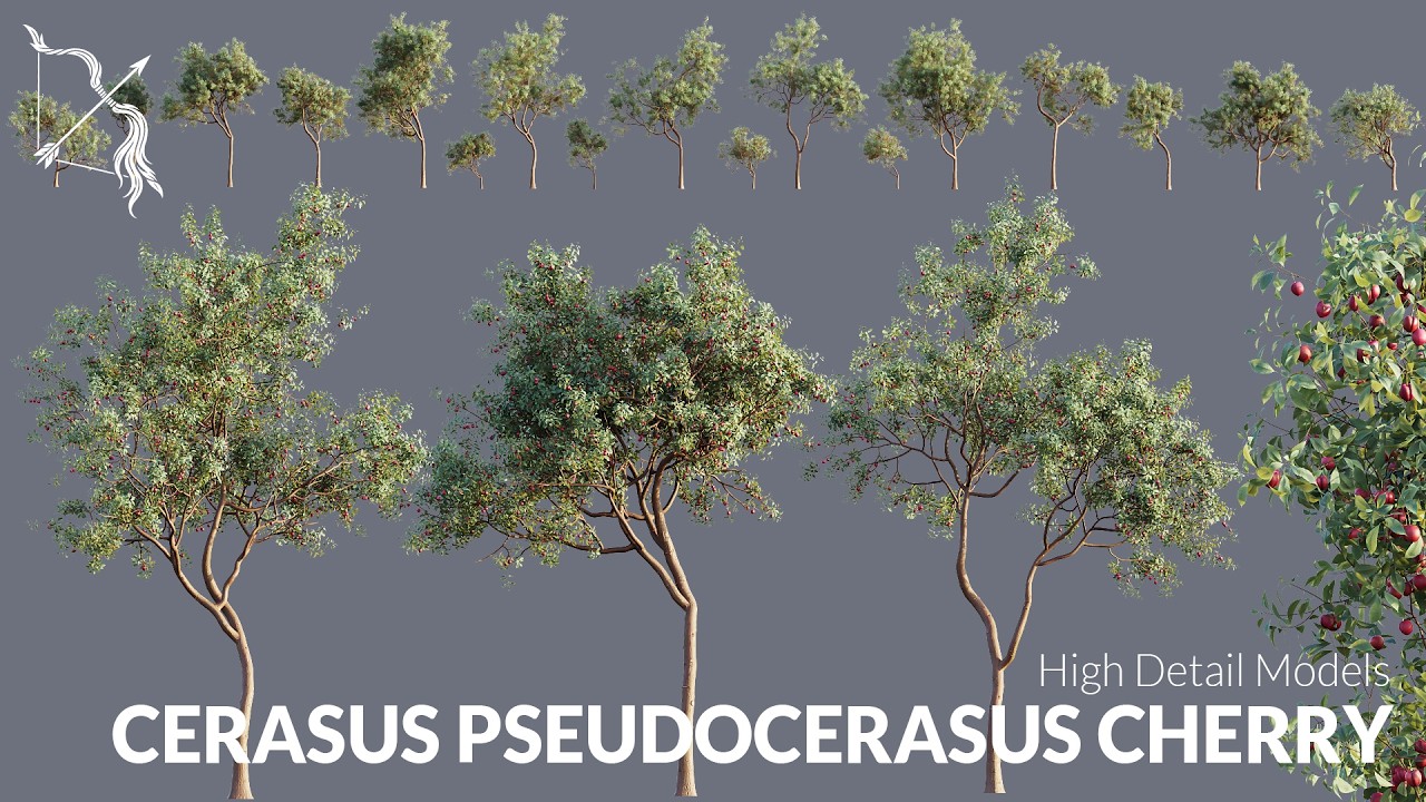 Hyper realistic 3D Assets Cerasus Pseudocerasus Cherry Tree for UE5 | Hyper realistic WIND, RAIN