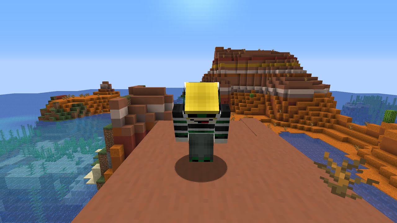 How to play Minecraft with no friends...