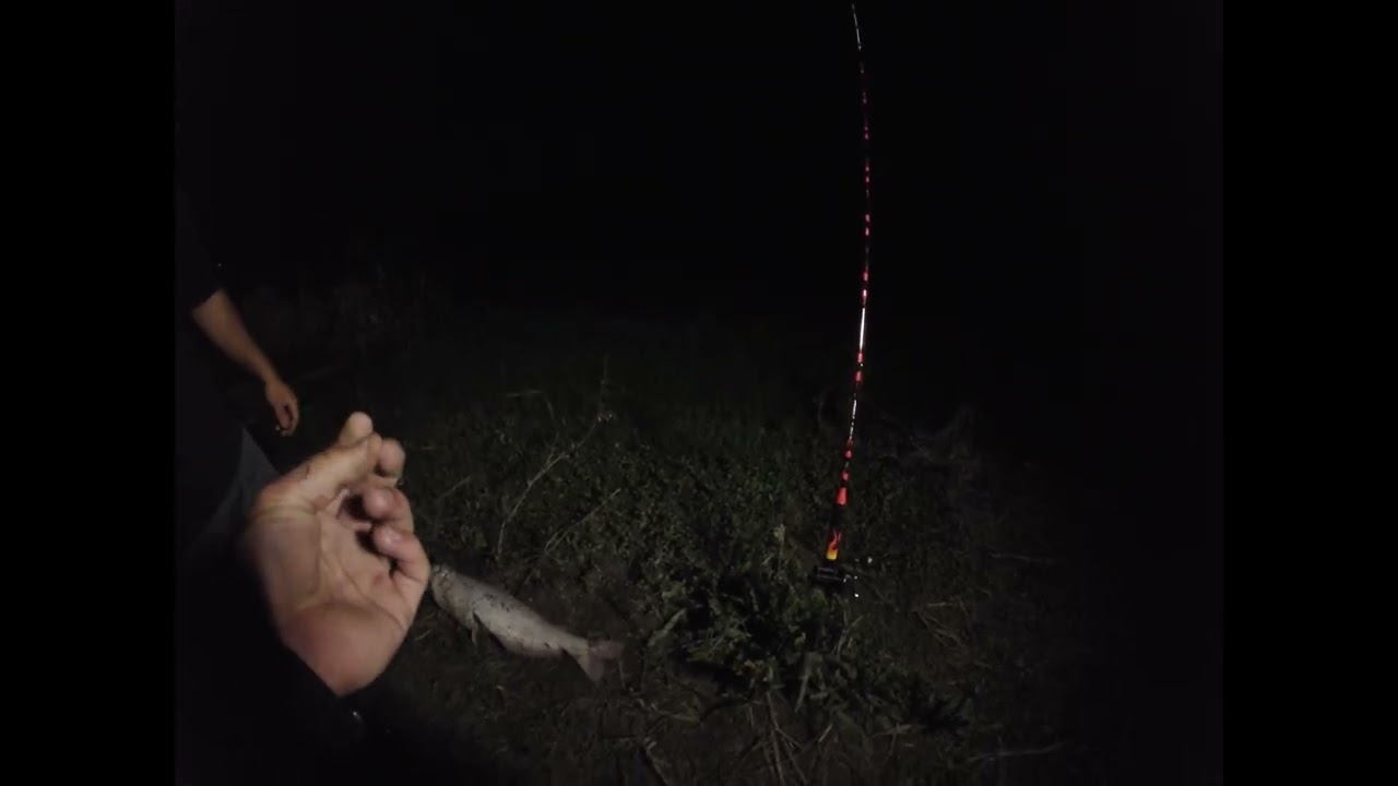 36+ pound catfish in the rio grand with the new fishing addiction hot rod