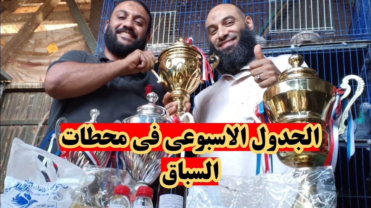 جدول الشيخ الاسبوعي لتجهيز فرد الحمام الزاجل للسباق في ذهابه الى المحطه واستقباله من المحطه