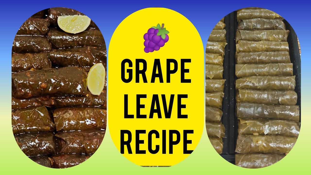 How To Make Grape Leave Dolma || Grape Leave Mahashi Dolma Kaise Banaye || DOLMA MAHASHI RECIPE