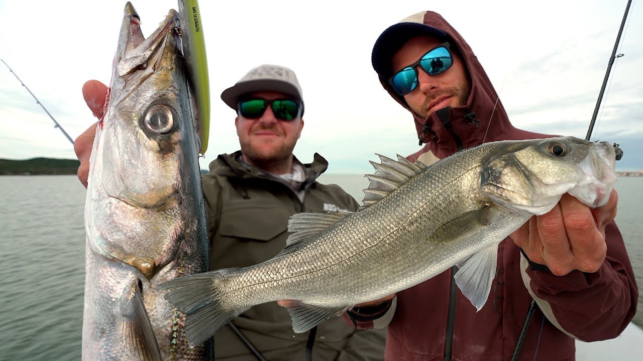 Spinning Costiero a SPIGOLE e BARRACUDA - The Island Ep.4