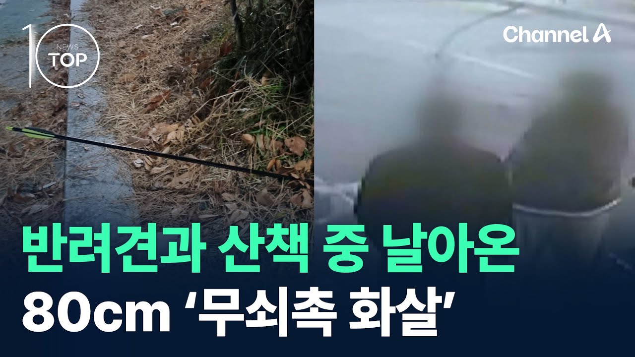 반려견과 산책 중 날아온 80cm &lsquo;무쇠촉 화살&rsquo; / 채널A / 뉴스TOP 10