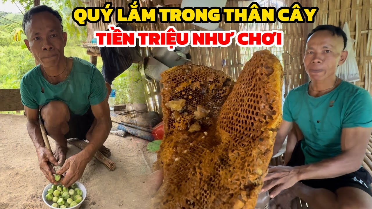 Người Đàn Ông Nghị Lực May Mắn Lấy Được Vật Thể Trong Thân Cây Tiền Triệu Như Chơi