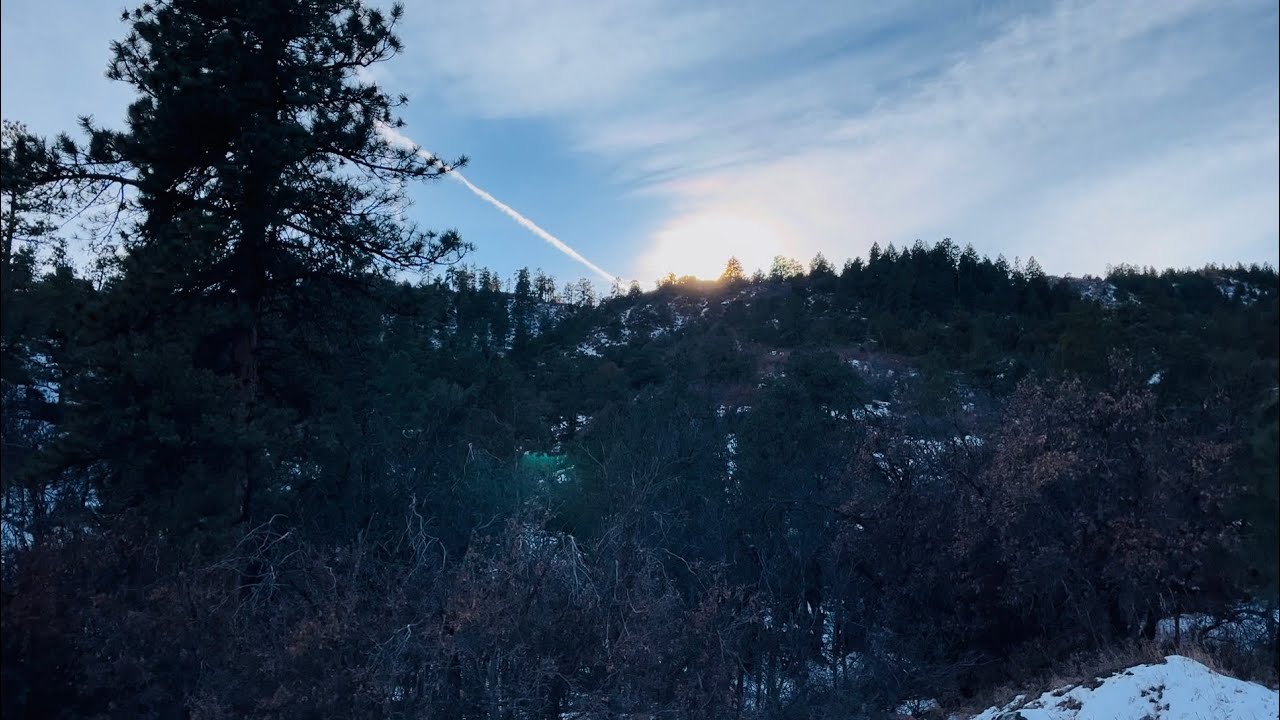 Colorado Forest Walk - No Talking