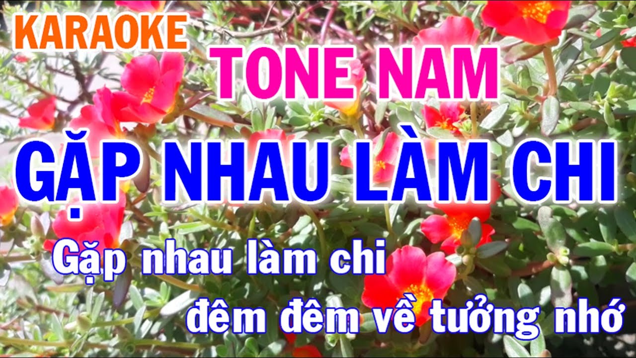Karaoke Gặp Nhau Làm Chi Tone Nam Nhạc Sống - Phối Mới Dễ Hát - Nhật Nguyễn