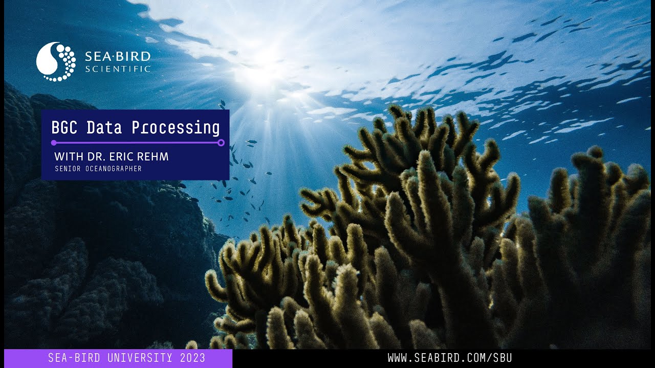 BGC Data Processing | Sea-Bird University 2023