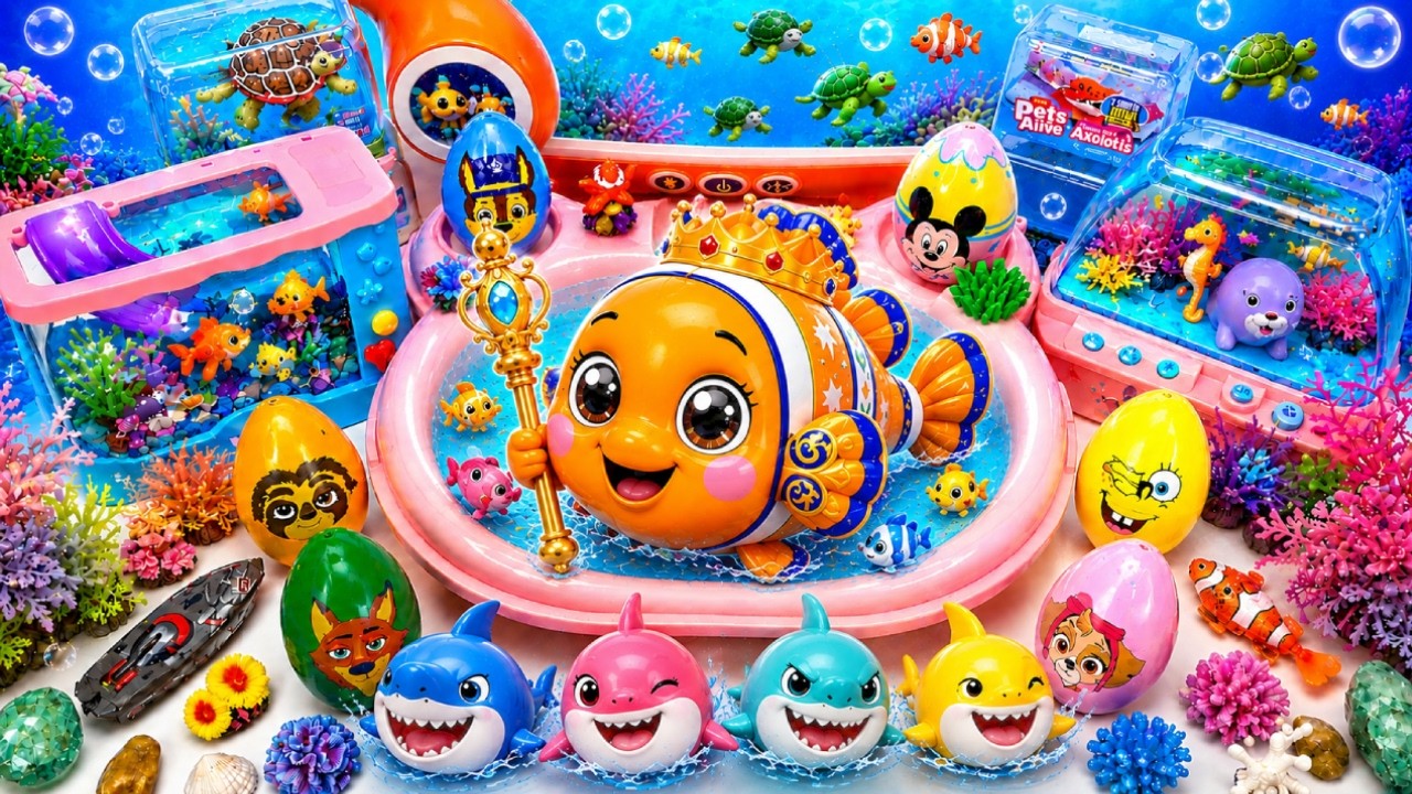 ASMR Satisfying Unboxing Clown Fish Surprise Eggs & Aquarium Pool Playset Toys🐠👑Aqua Toys ASMR