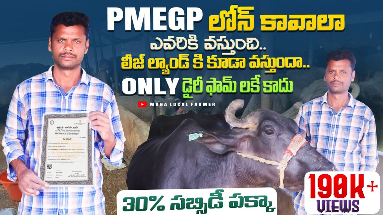 PMEGP Loan Complete Process telugu A-Z info | PMEGP లోన్ పొందం ఎలా.? #manalocalfarmer #pmegploan