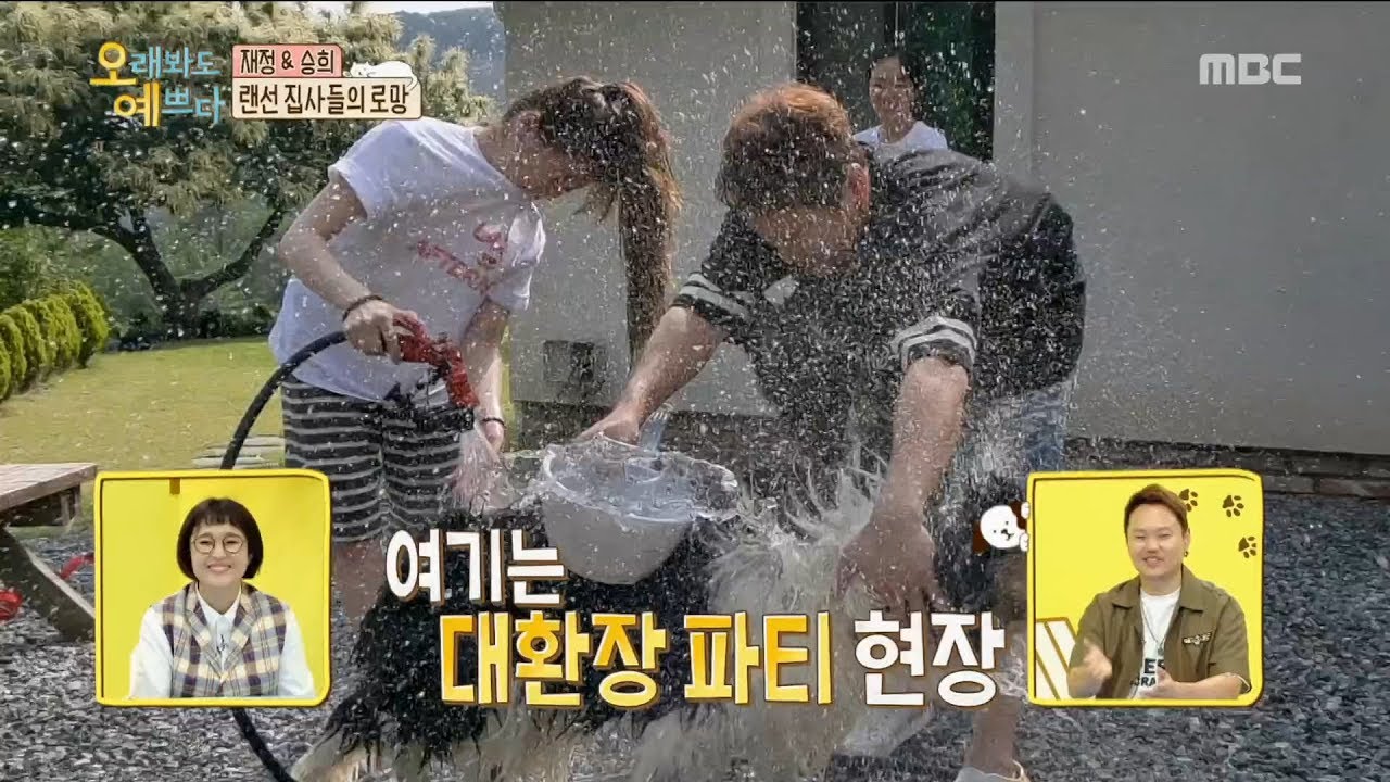 [HOT] give a dog its first bath, 오래봐도 예쁘다 20190725