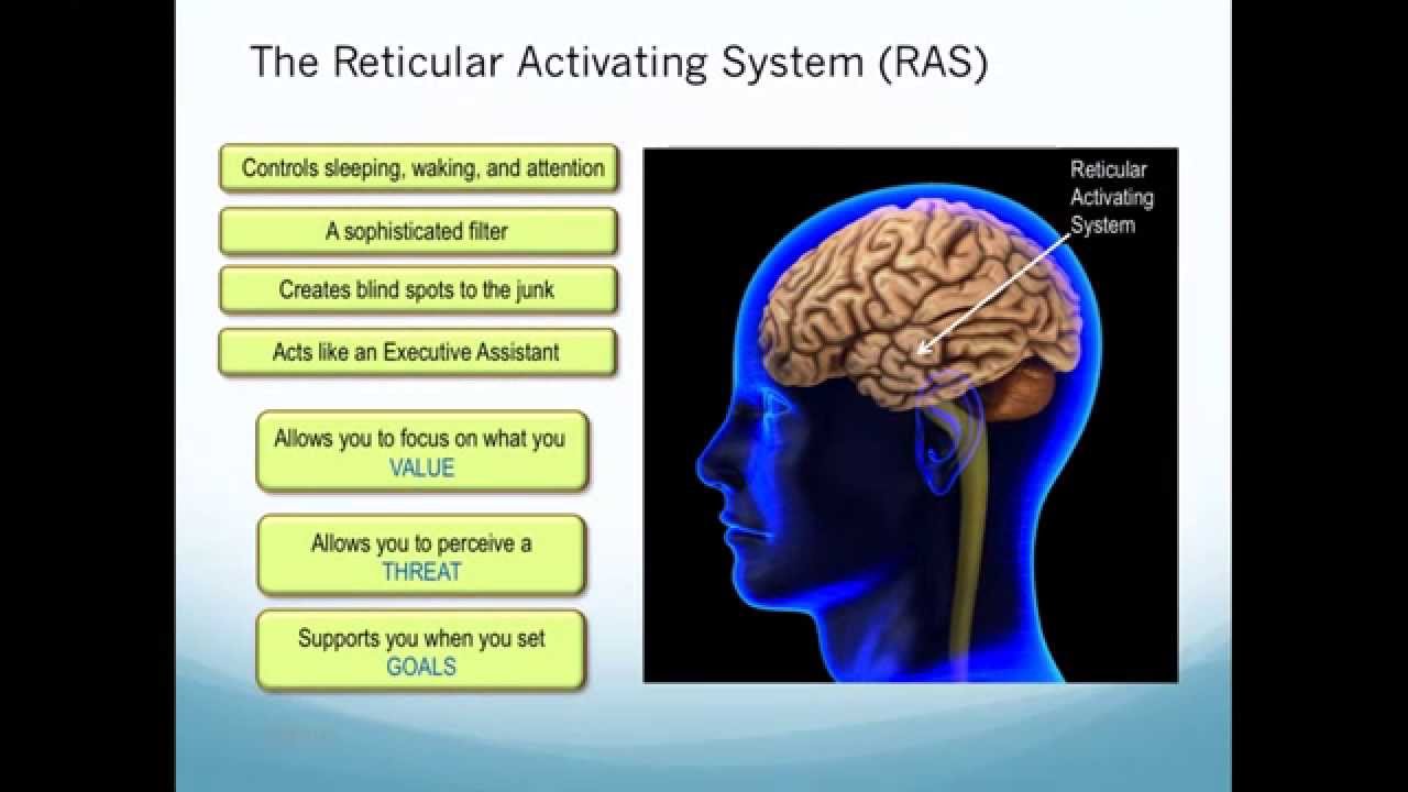 Creating Your Life, Ep. 6: Reticular Activating System, Pt. 2